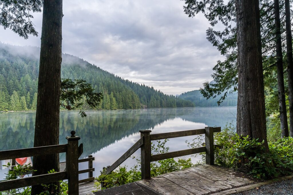 lake, forest, area water-4540258.jpg